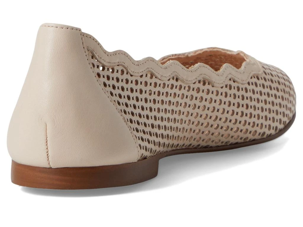 French Sole Nymph 5
