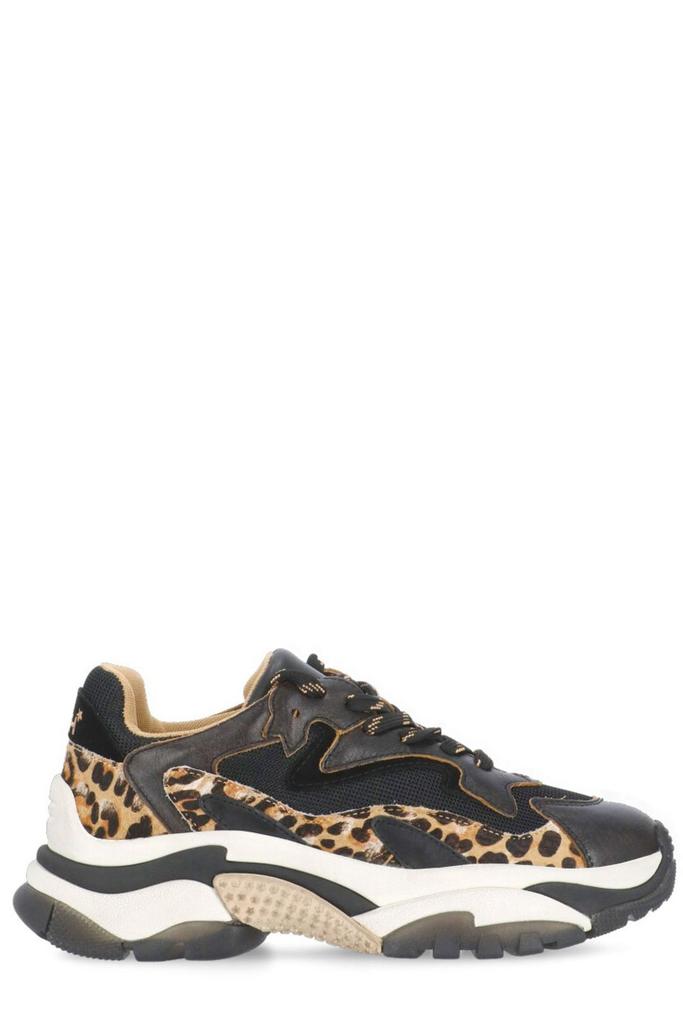アイケア L ash addict Ash Addict Sneakers | italist