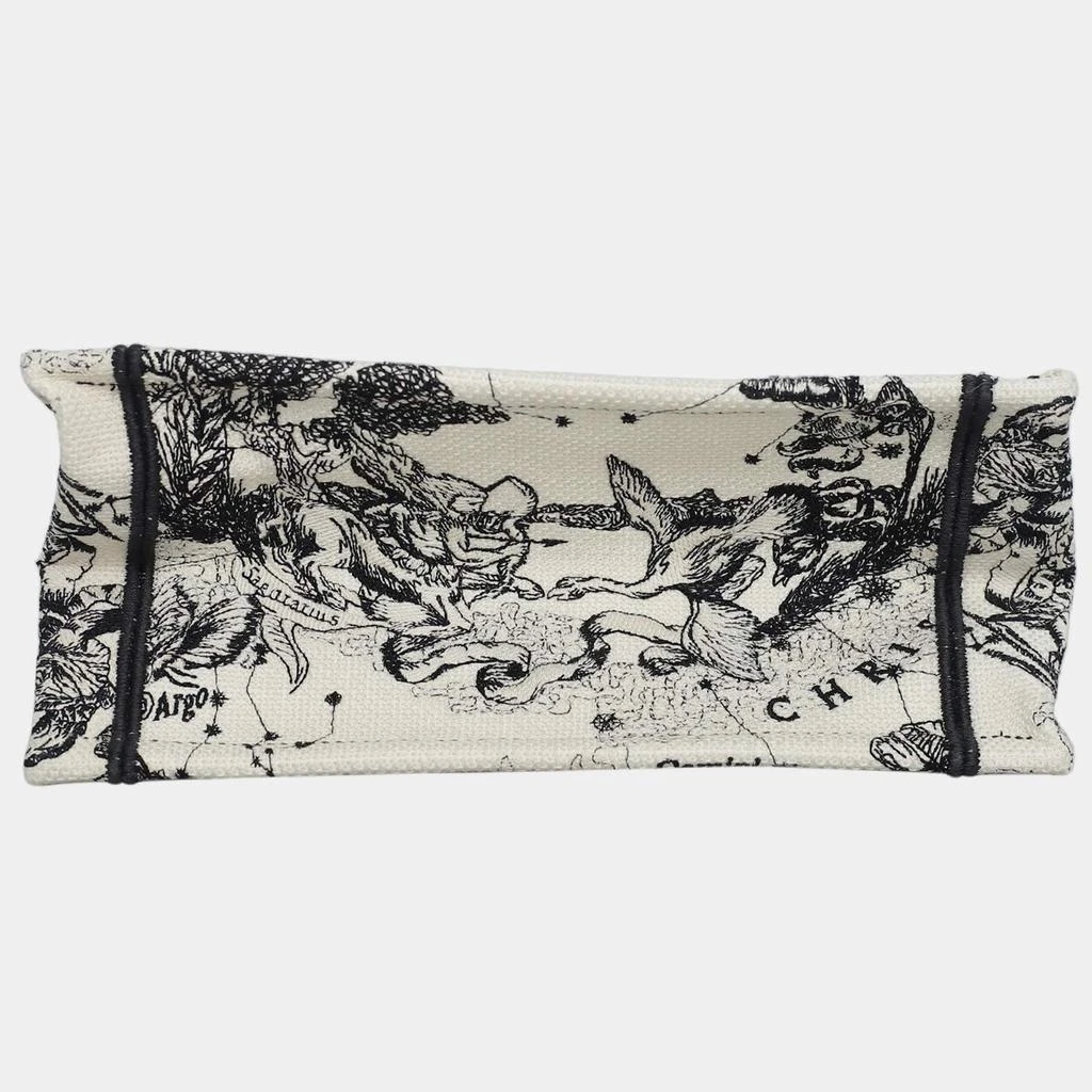 Dior Christian Dior Book Tote Bag 5