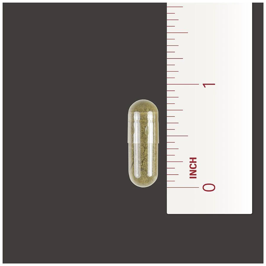 Walgreens Echinacea 400 mg Capsules 5