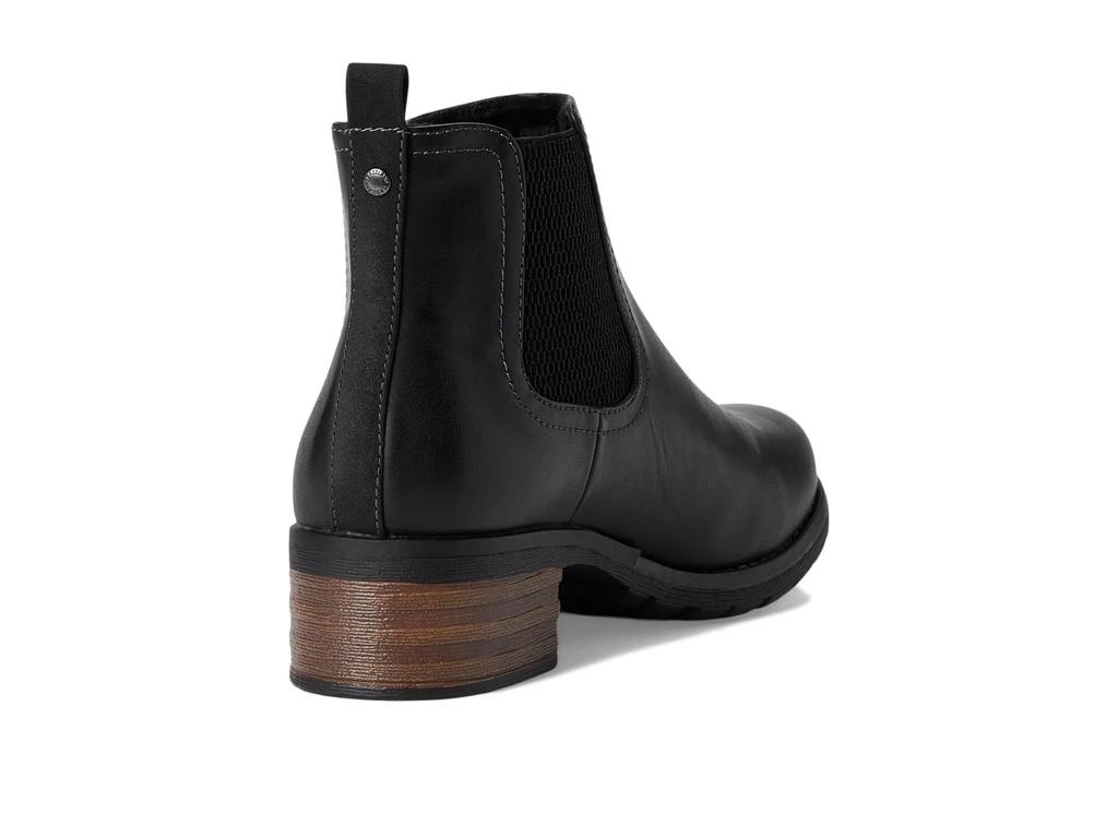 Eastland Jasmine 5