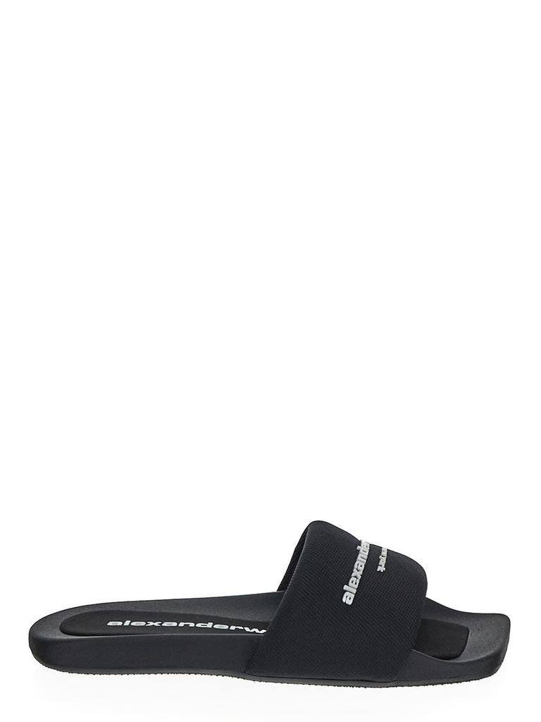 Alexander Wang Logo Slide