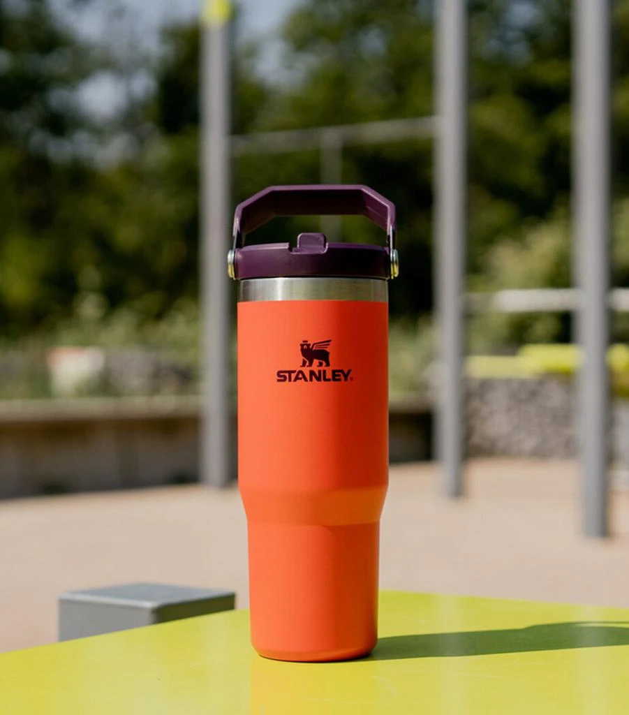 Stanley Iceflow Flip Straw Tumbler (0.89L) 2