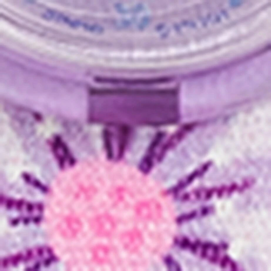 Flik Flak Flower Chaos Watch 31.85mm 4