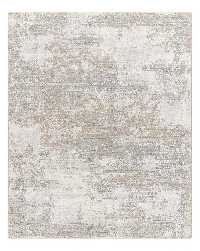 Surya Brunswick BWK-2332 Area Rug, 2
x 3