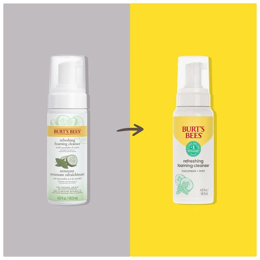 Burt's Bees Refreshing Foaming Face Cleanser Cucumber and Mint 3