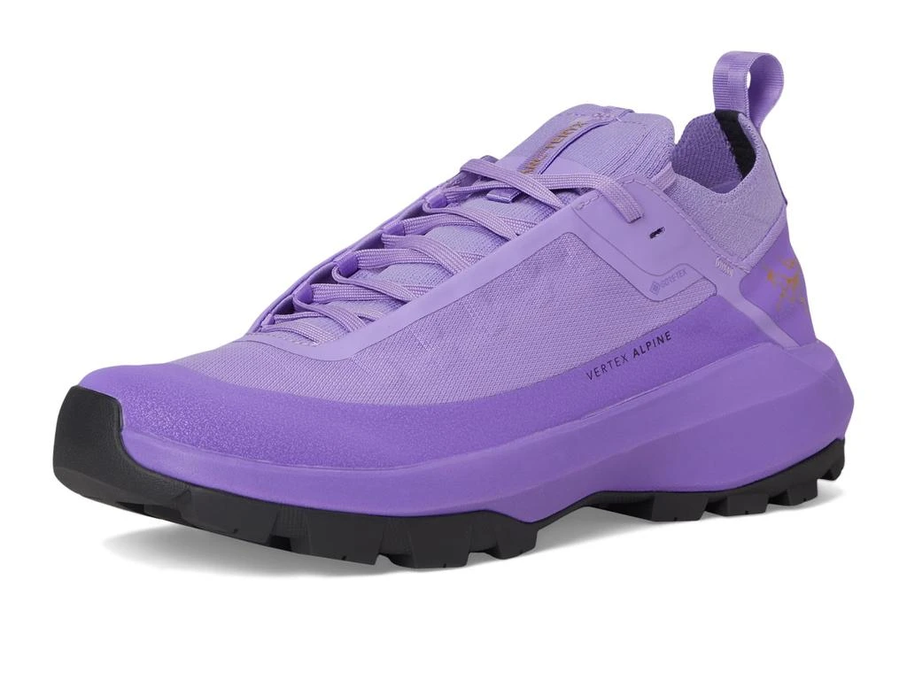 Arc'teryx Vertex Alpine GTX 7