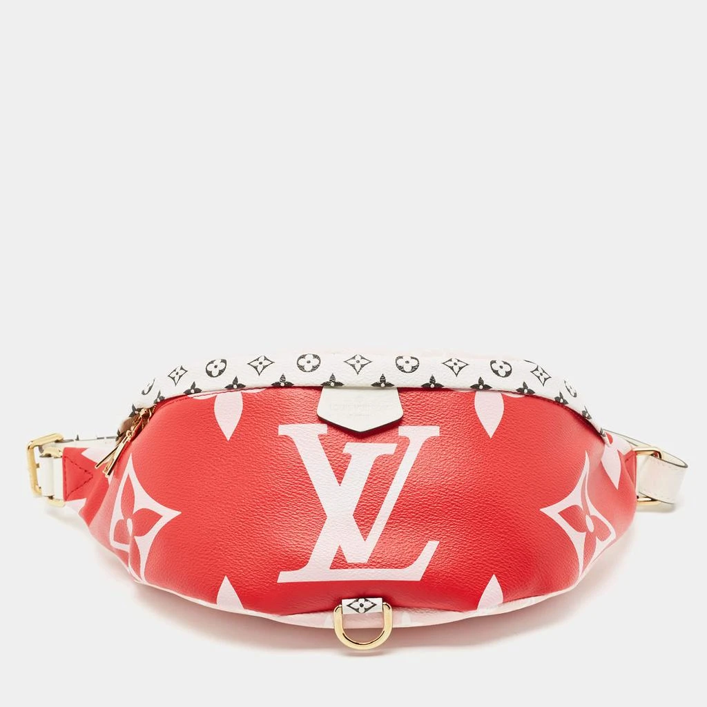 Louis Vuitton Louis Vuitton Multicolor Giant Monogram Canvas Bumbag 1