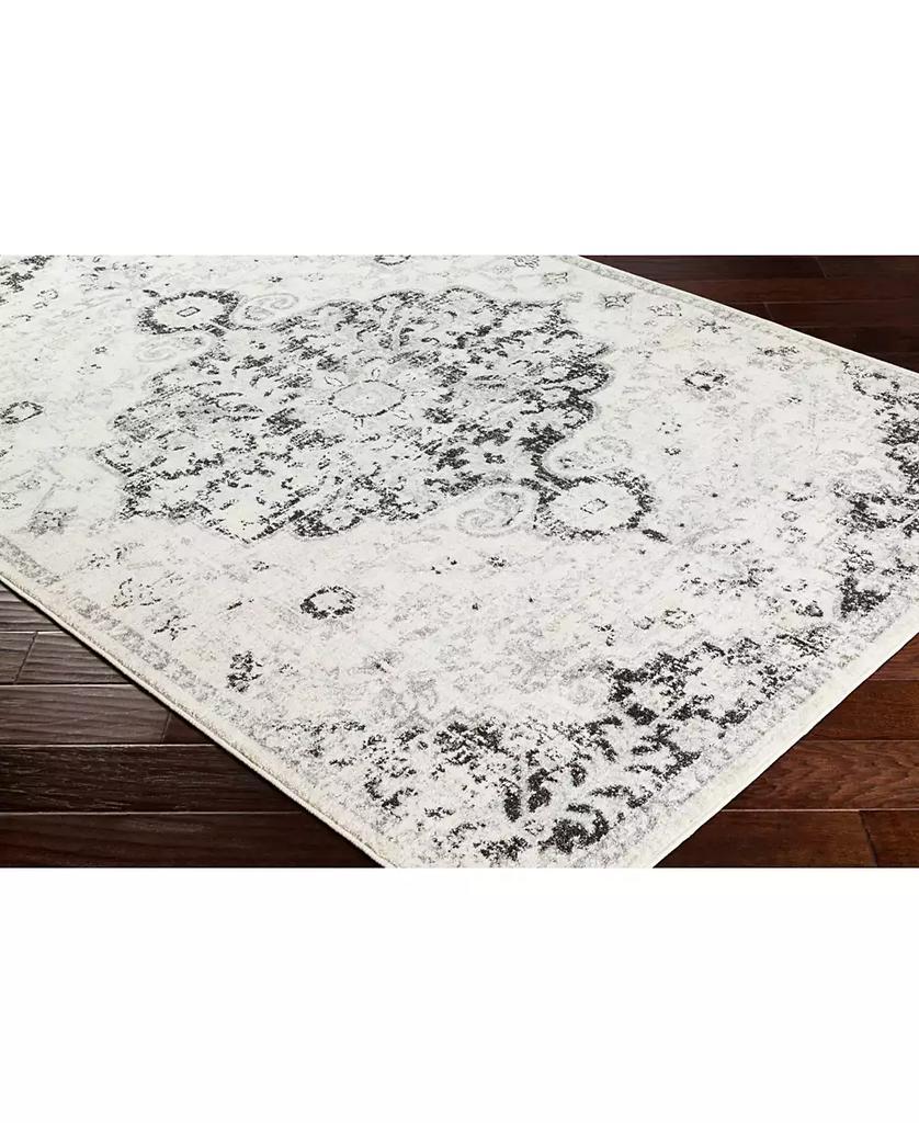 Surya Harput HAP-1061 Beige 3'11" x 5'7" Area Rug