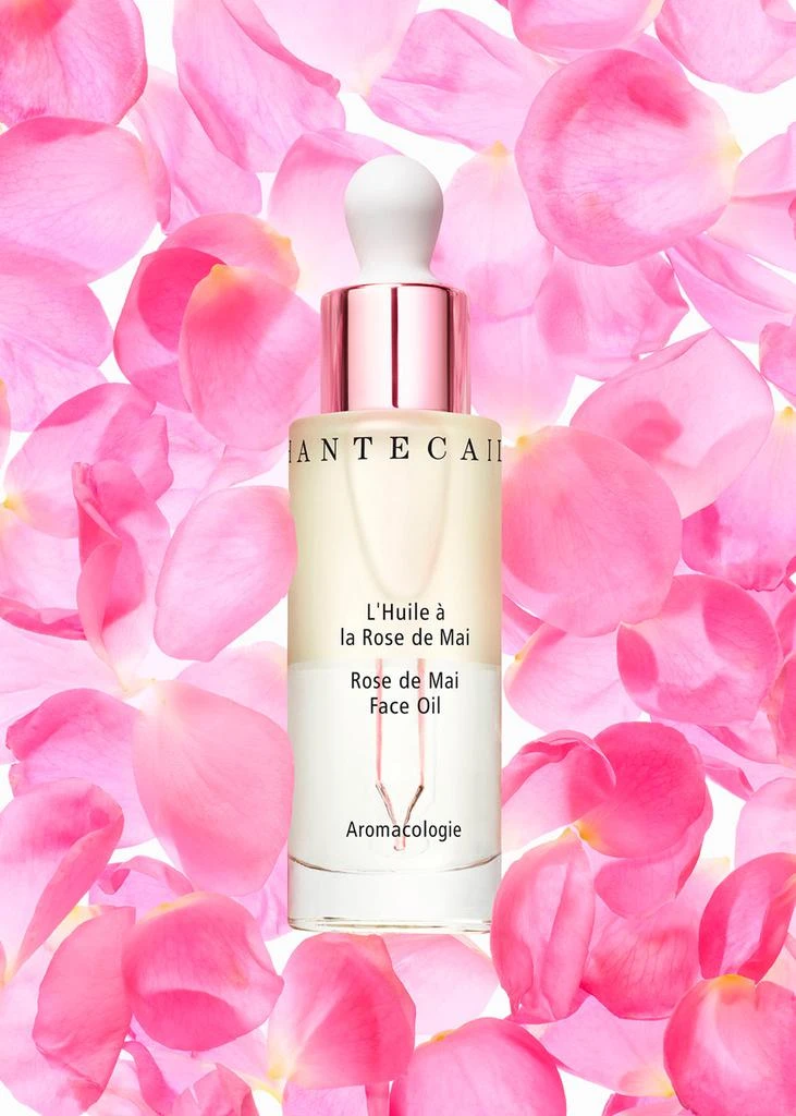 Chantecaille Rose de Mai Face Oil 3