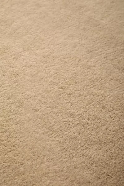 Urban Outfitters Aine Hand-Tufted Rug 4