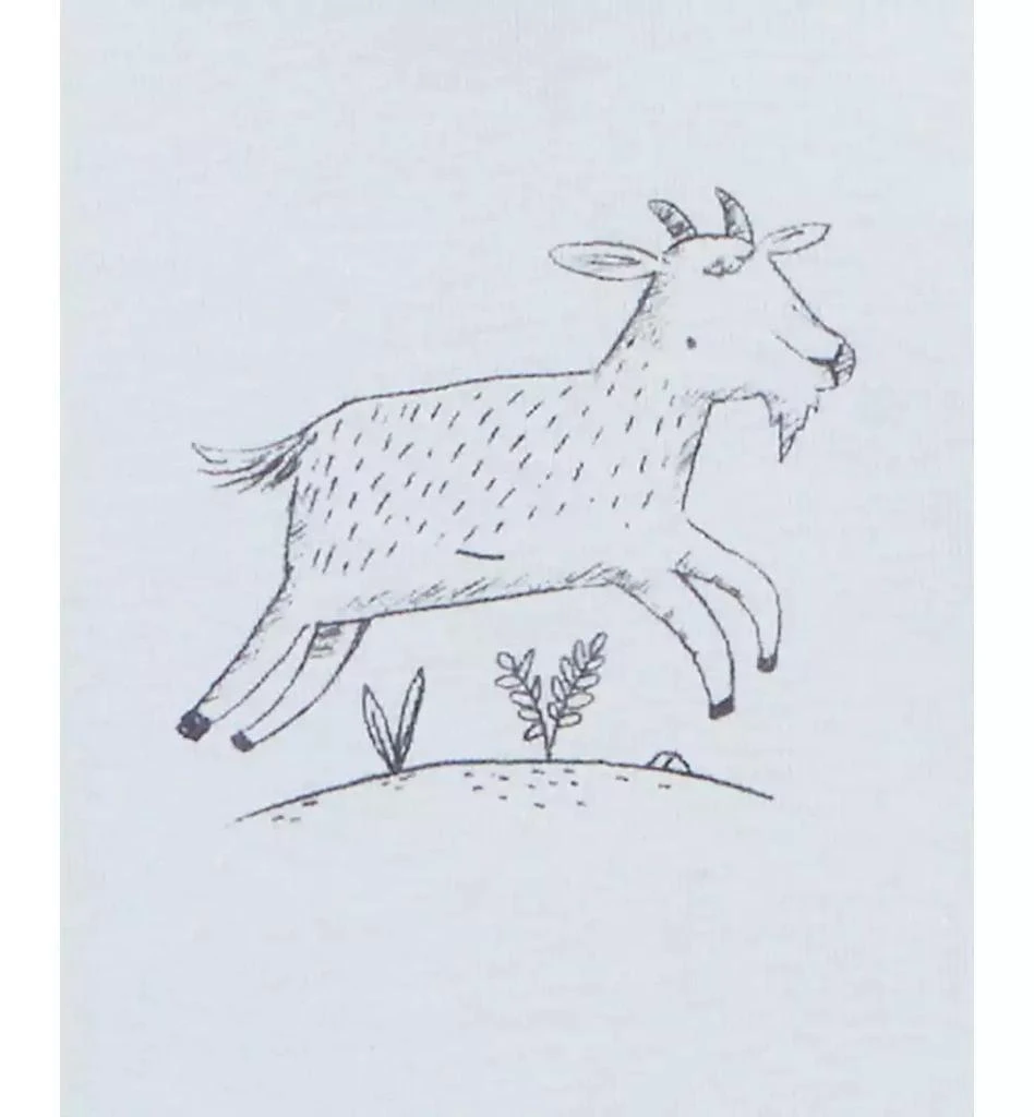 Carter
s Baby Boys and Baby Girls 5-Pc. Short Sleeve Bodysuits Set 3