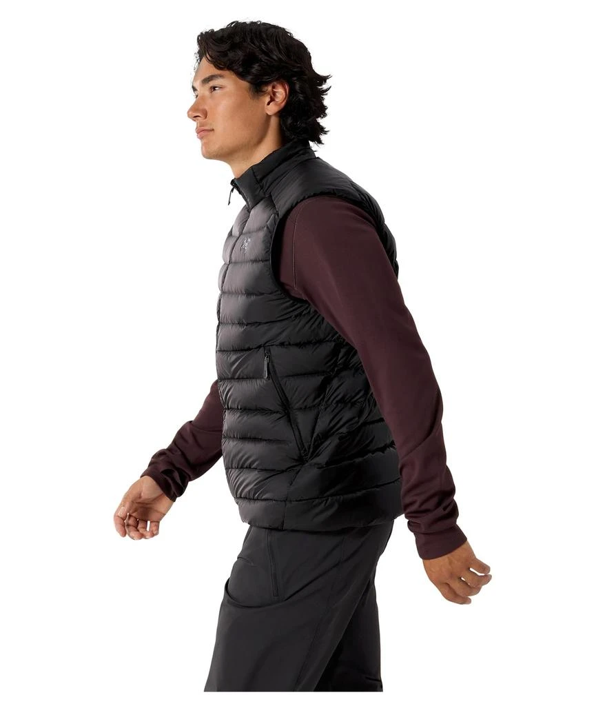 Arc
teryx Cerium Vest 2