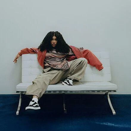 Vans Knu Skool Shoe 6