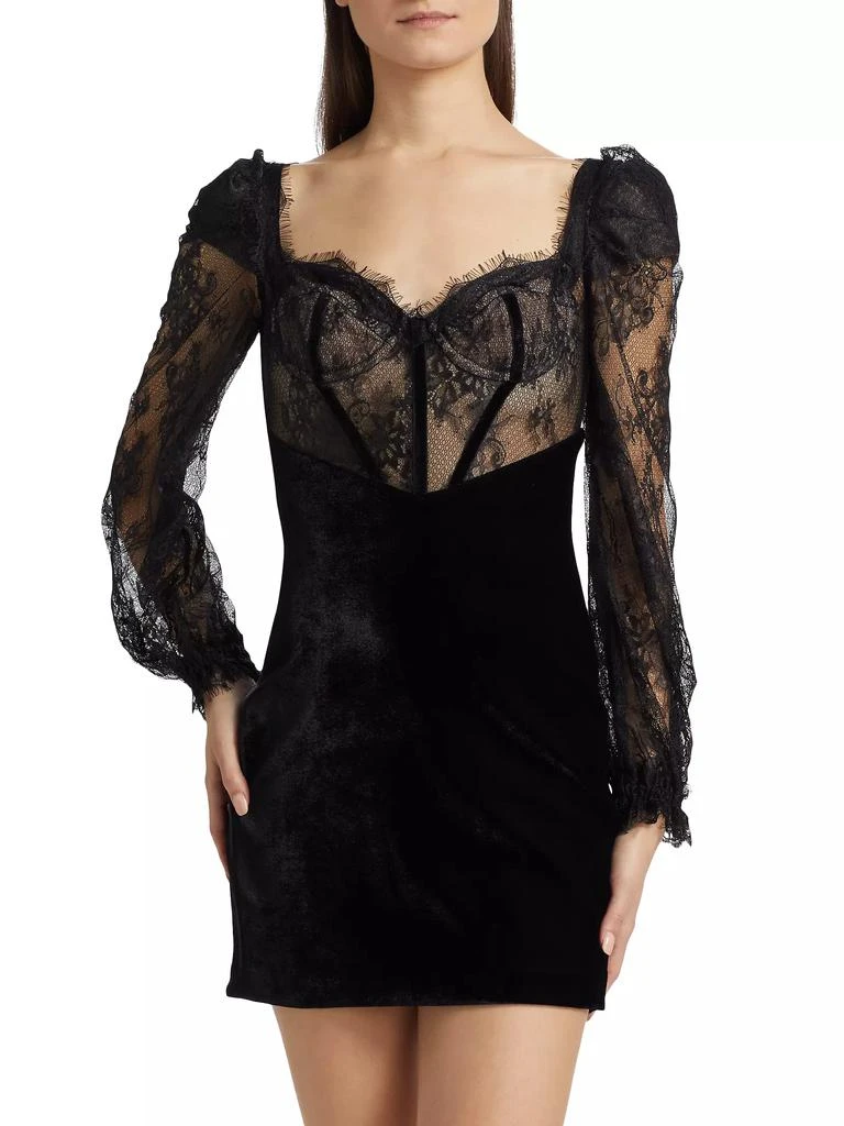 PatBO Lace & Velvet Minidress 3