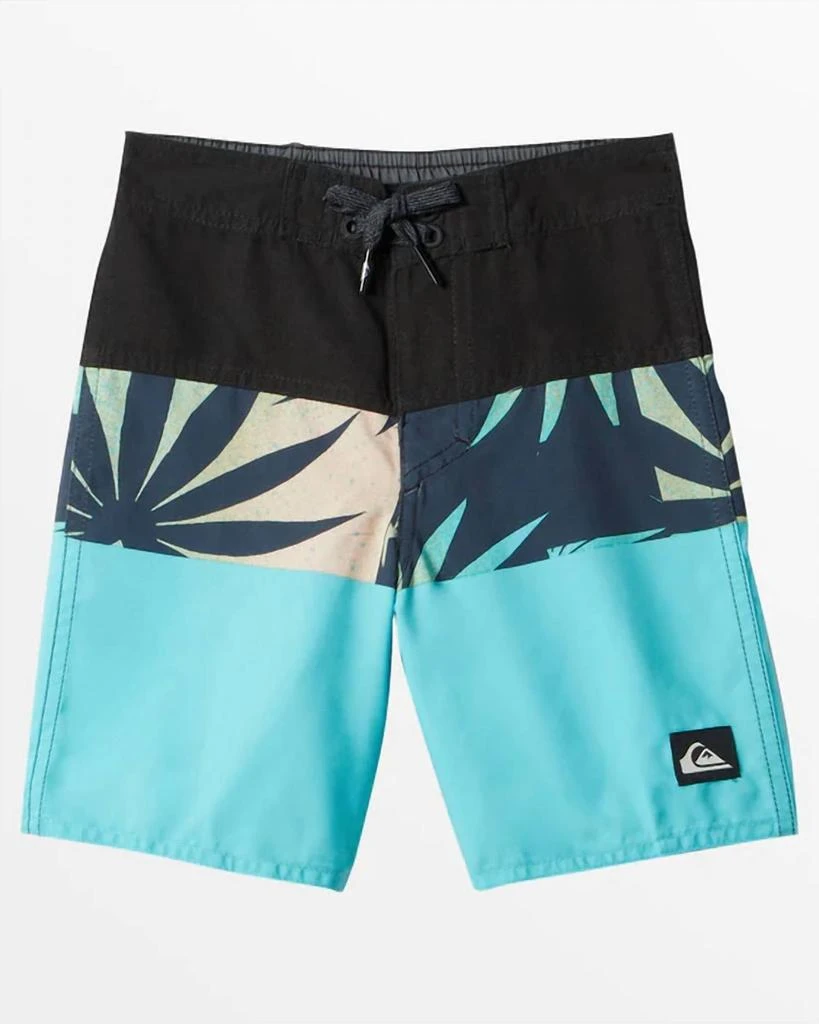 Quicksilver Quicksilver - Big Boys Everyday Panel Board Shorts 3