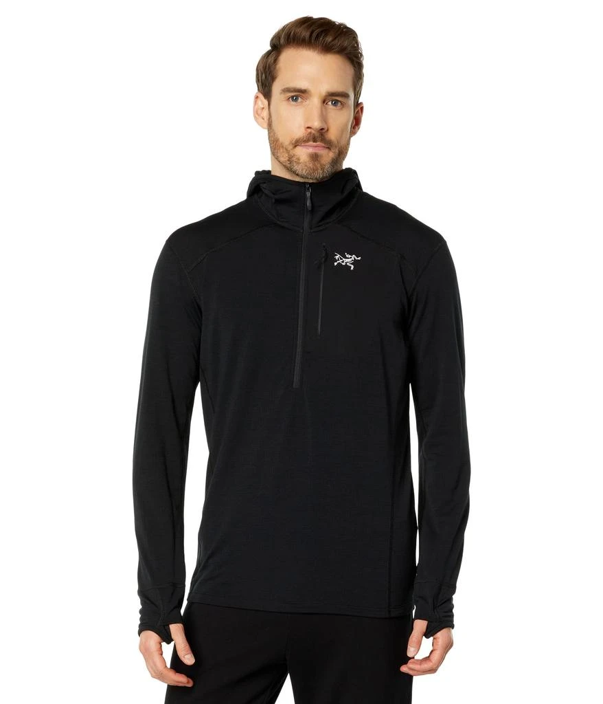 Arc'teryx Delta 1/2 Zip Hoody 1