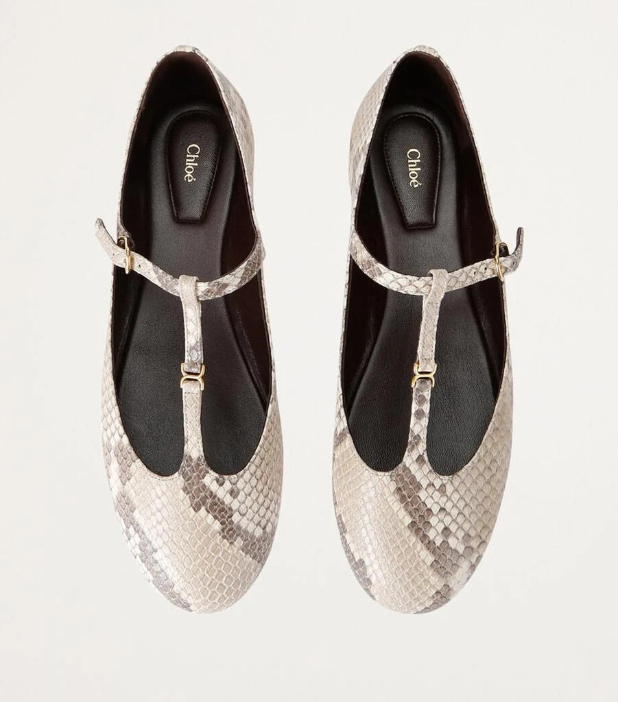 Chloé Snakeskin Print Mary Jane Flats 4