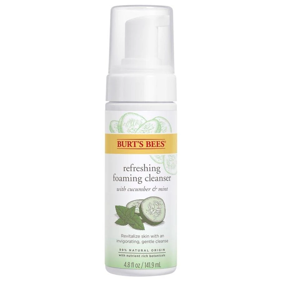 Burt's Bees Refreshing Foaming Face Cleanser Cucumber and Mint 1