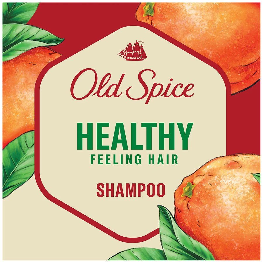 Old Spice Healthy Feeling Hair Shampoo for Men Citrus Zest 3