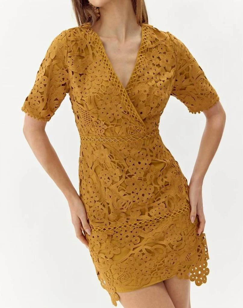 iro lace mini dress IRO