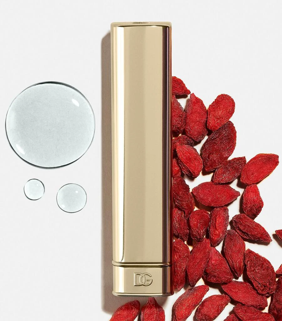 Dolce
Gabbana My Sculpt Satin Lip Stylo 5