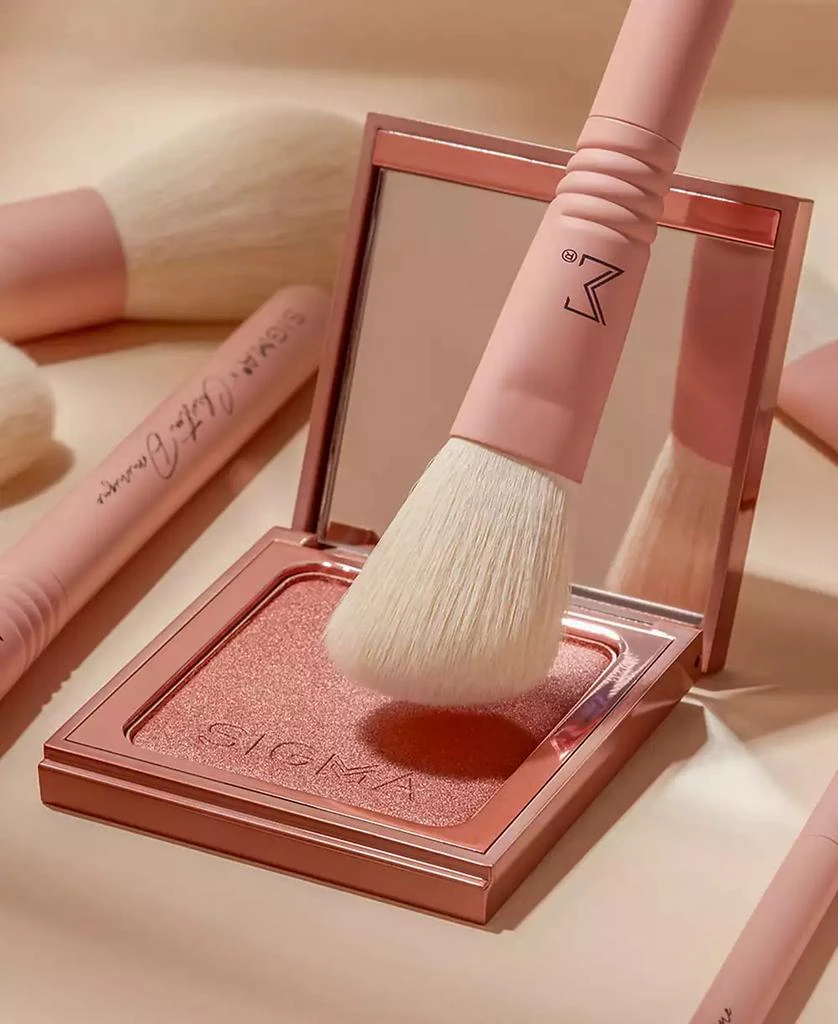 Sigma Beauty X Christen Dominique Brush Set 10