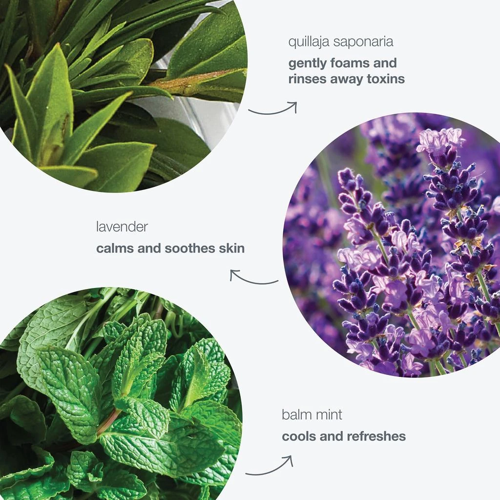 Dermalogica Dermalogica Special Cleansing Gel 3