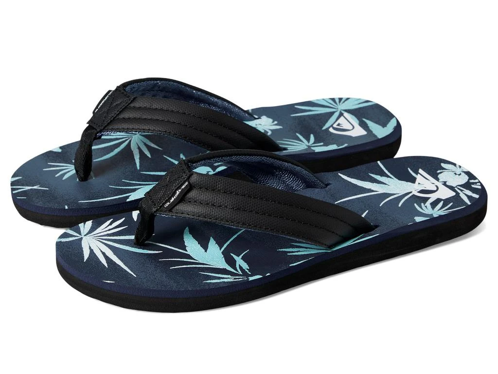 Quiksilver Carver Print 1