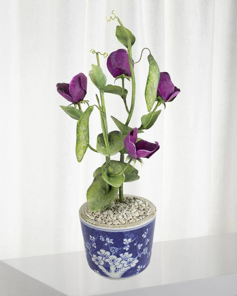 Tommy Mitchell Sweet Pea April Birth Flower in Ceramic Pot 1