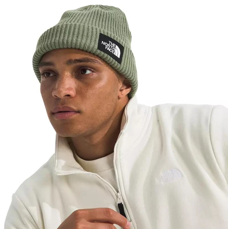The North Face The North Face Salty Lined Beanie 1