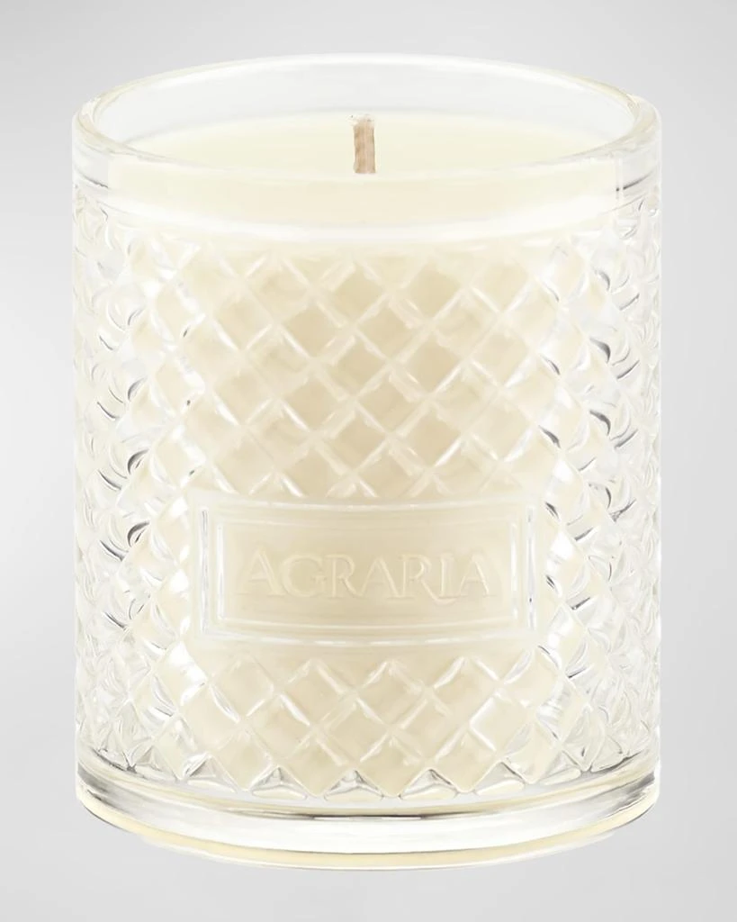 Agraria Balsam Perfume Candle, 7 oz. 2