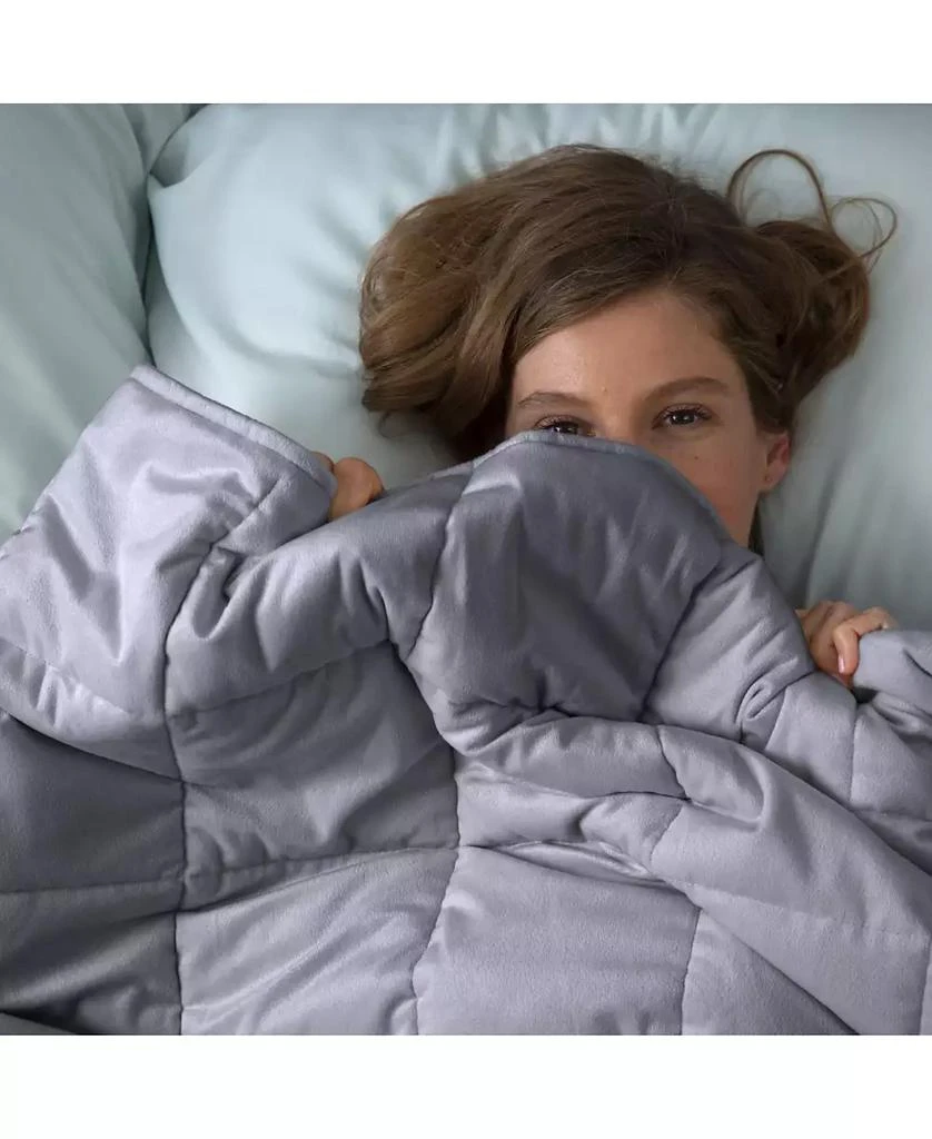 Sealy Quilted Plush 12.2lbs Weighted Blanket 5