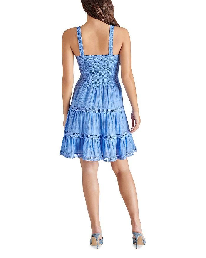 Steve Madden Kahina Dress 4