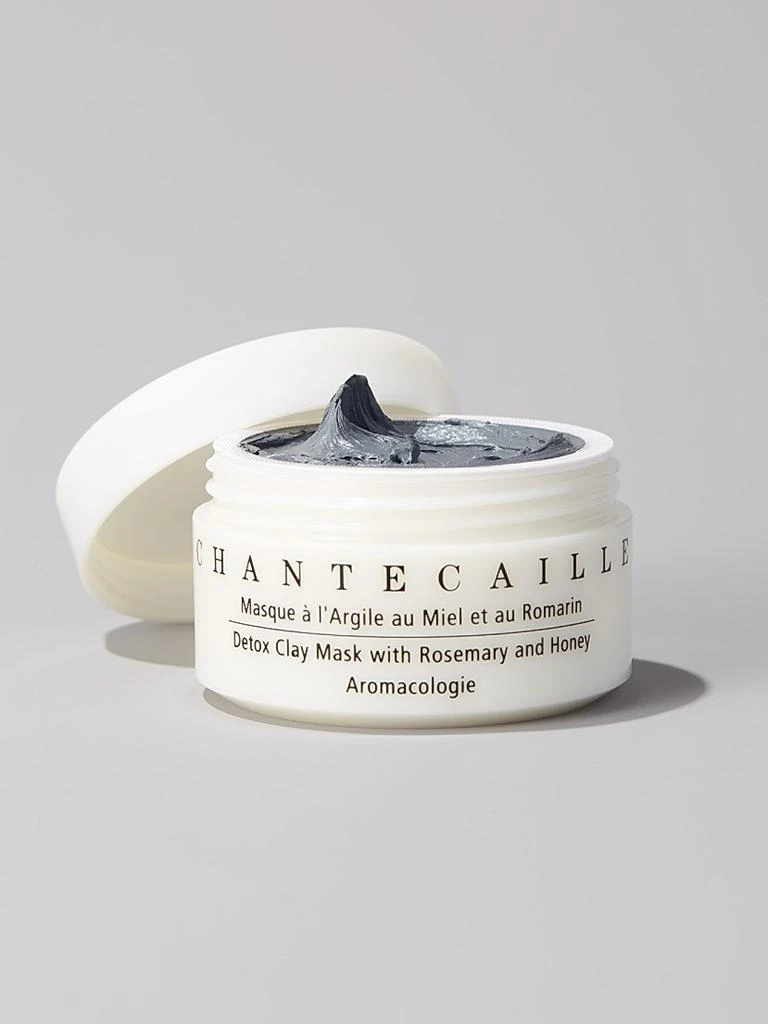 Chantecaille Detox Clay Mask 2