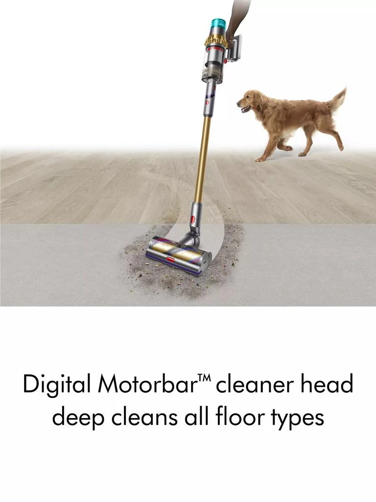 Dyson V15 Detect Absolute Vacuum 10