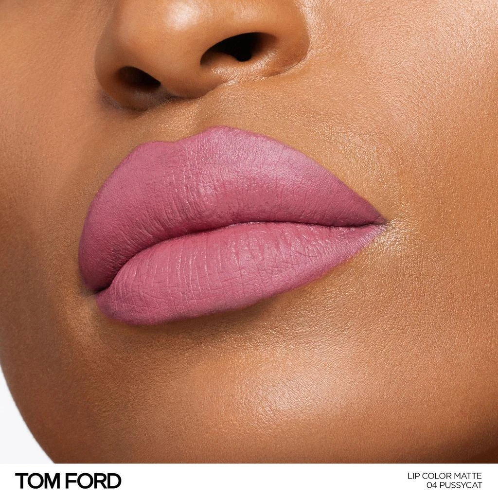 Tom Ford Lip Color Matte Lipstick 5