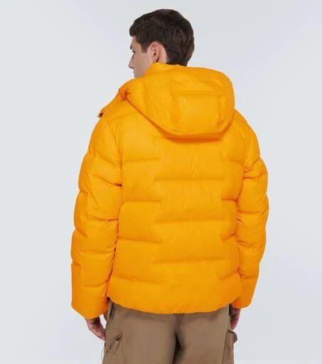 The North Face RMST Sierra parka 4