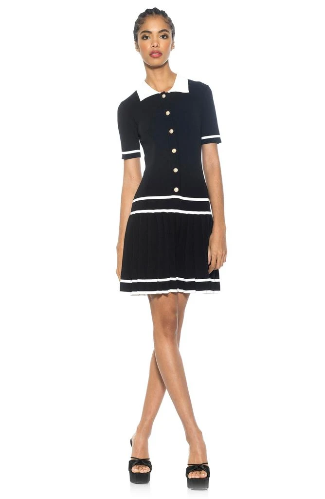 ALEXIA ADMOR Lucinda Short Sleeve Dress 5
