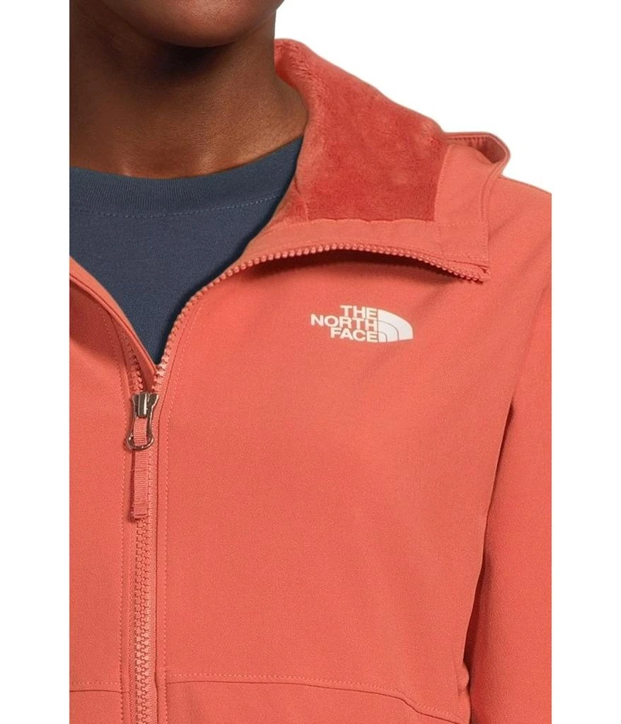 The North Face Shelbe Raschel Hoodie 4