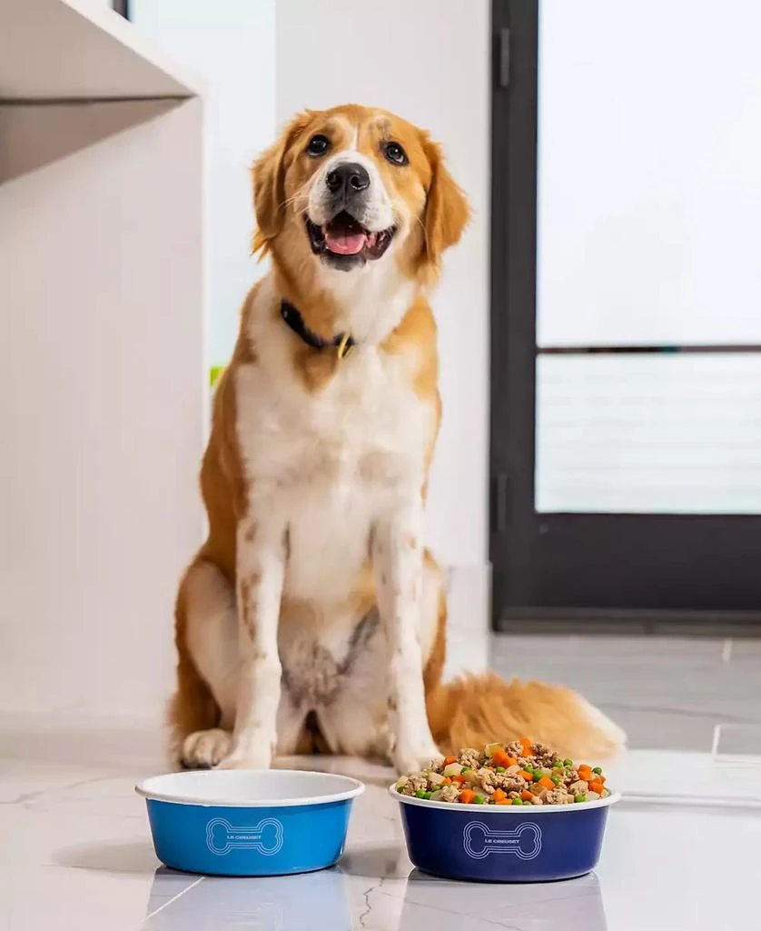 Le Creuset 6 Cup Enamel on Steel Pet Bowl with Skid Resistant Base 5