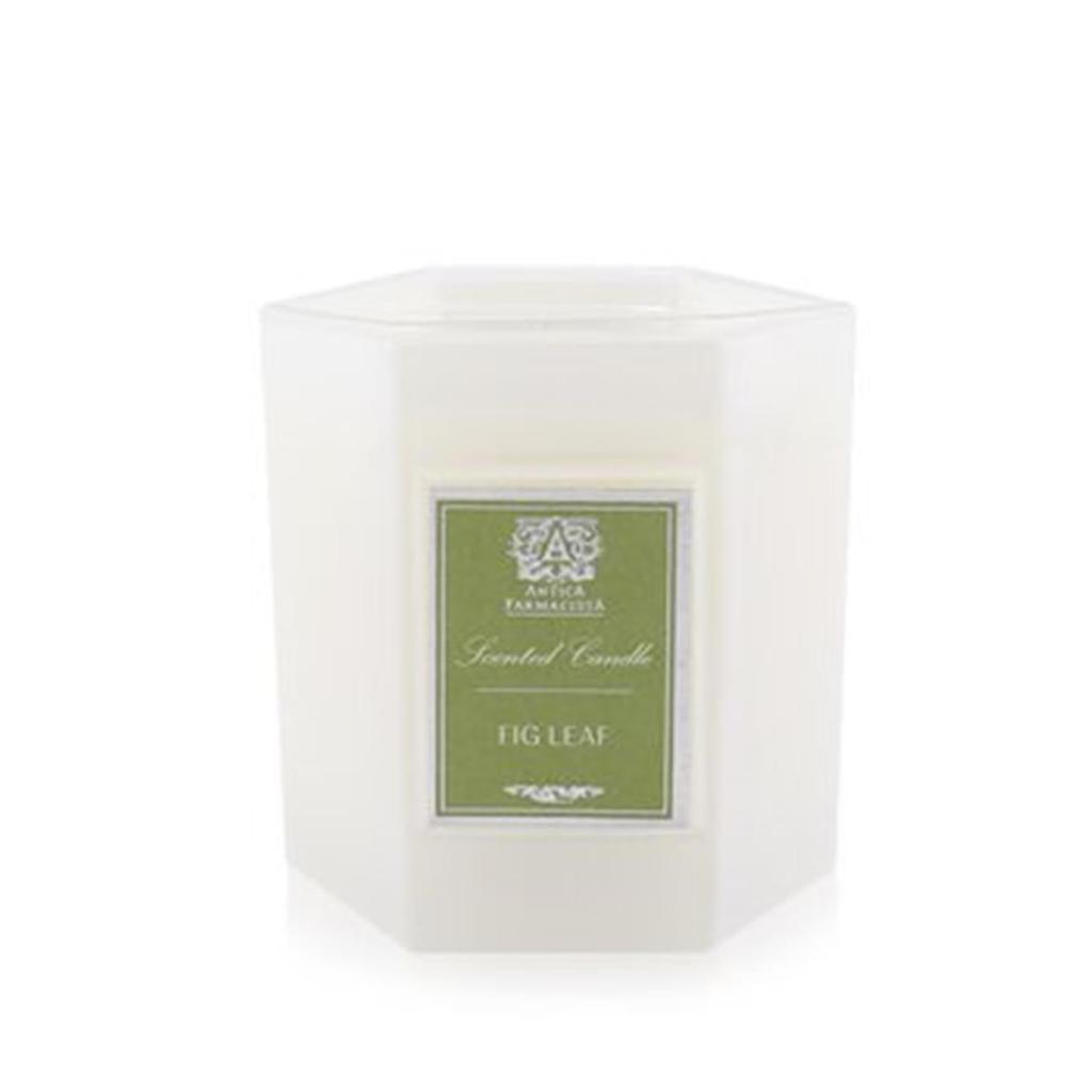 Antica Farmacista 9 oz Candle - Fig Leaf