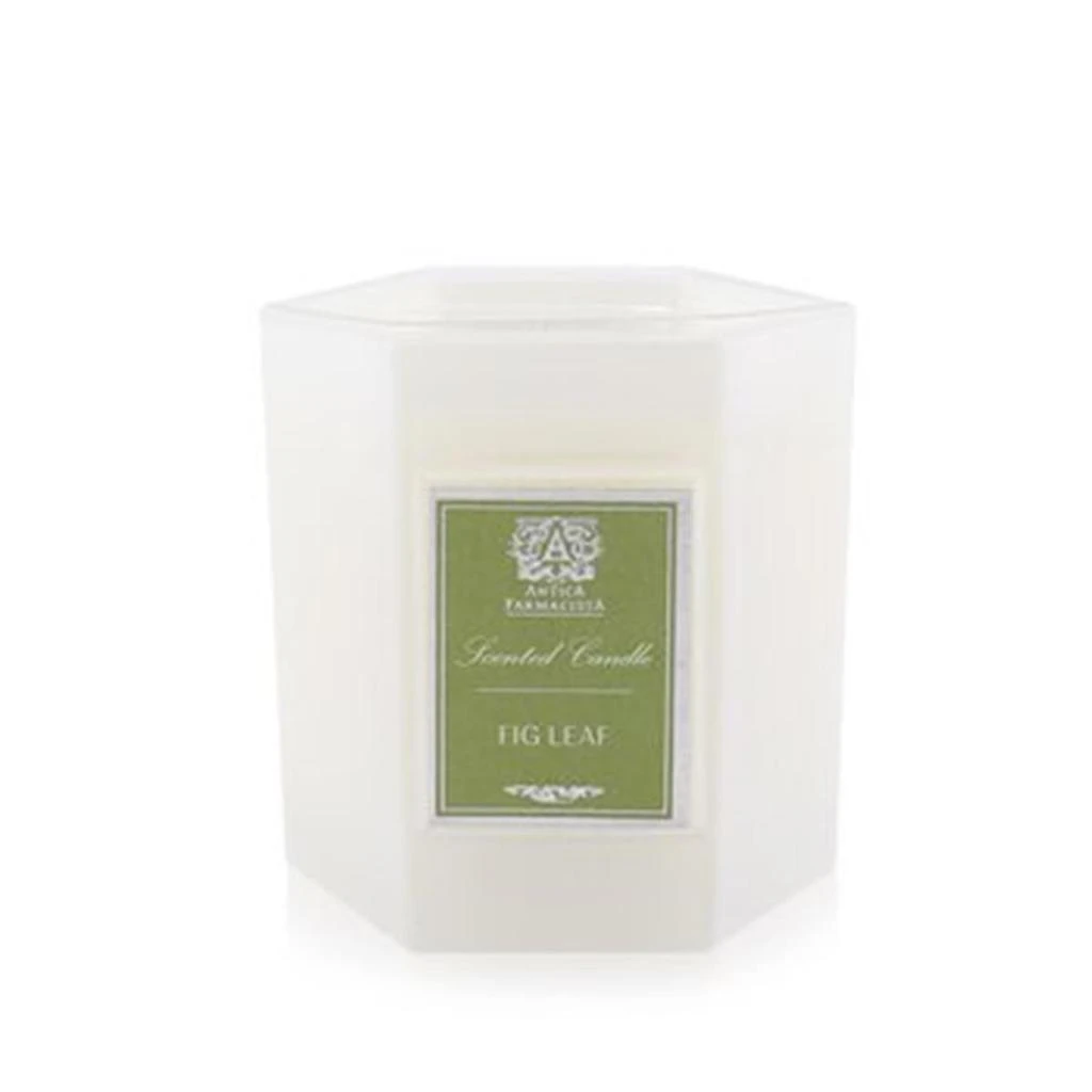 Antica Farmacista 9 oz Candle - Fig Leaf 1