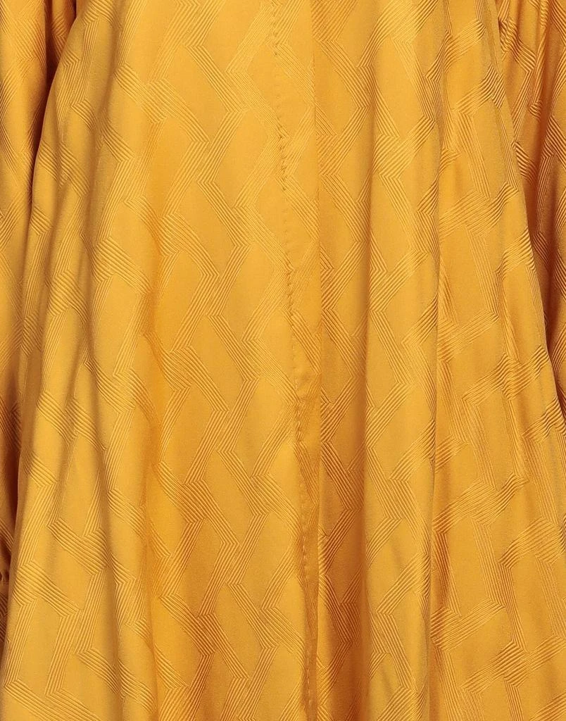 LE SARTE PETTEGOLE Shirt dress 4