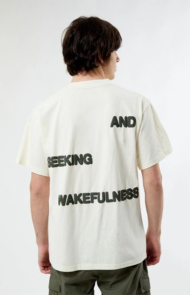 PacSun Lost In Dreams Puff Oversized T-Shirt 5