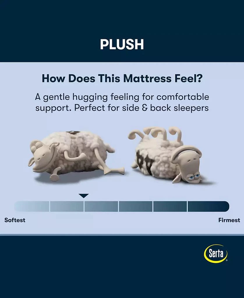Serta Perfect Sleeper Iceland Poppy 13" Plush Tight Top Mattress Set 2