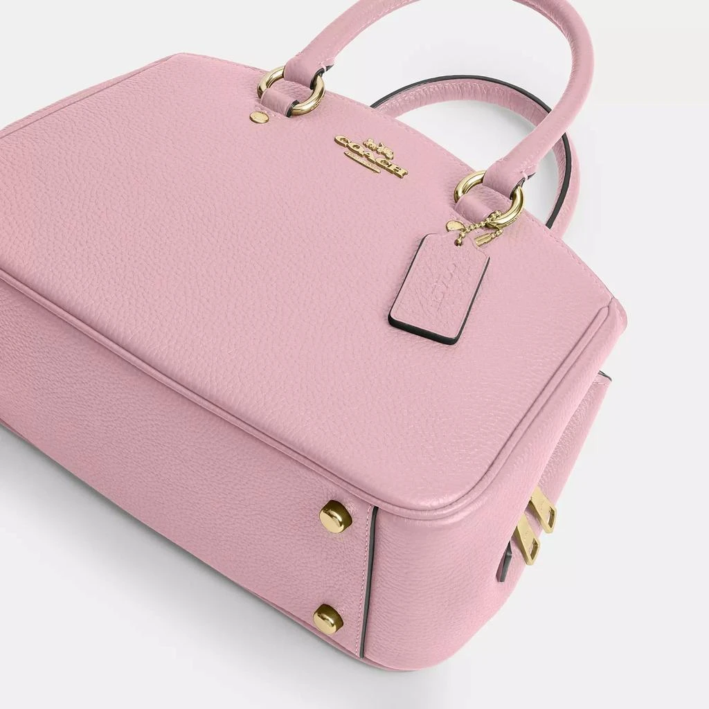 Coach Savannah Small Carryall Bag 4