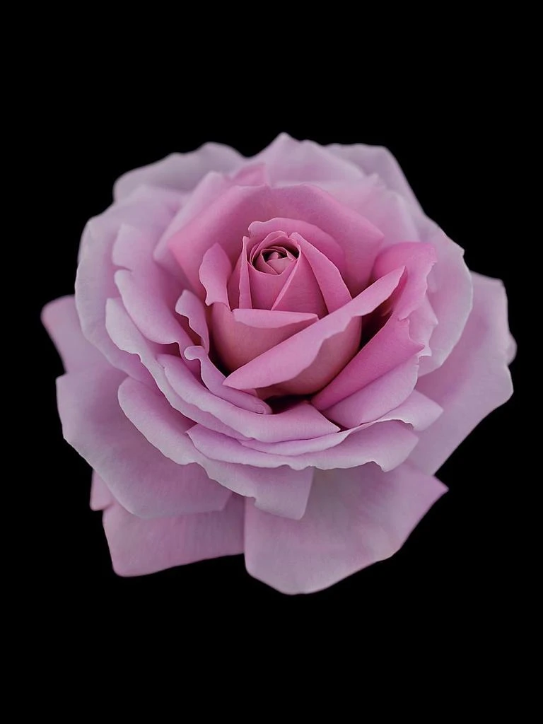 Cle de Peau Synactif Lotion 5