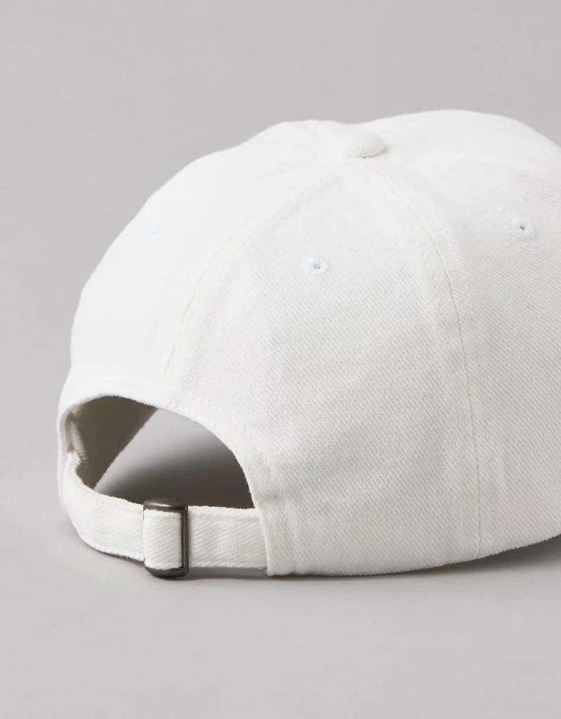 AE AE Baseball Hat 2