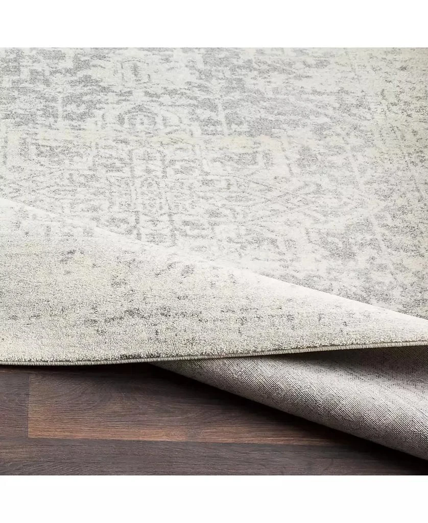 Surya Harput HAP-1024 Gray 2'7" x 7'3" Area Rug 3